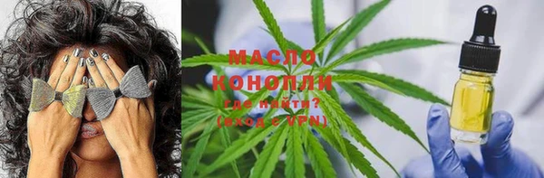 винт Верея