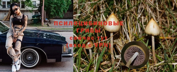 винт Верея