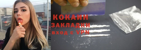 винт Верея