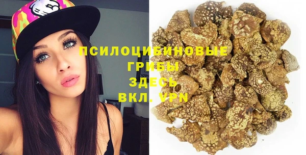 винт Верея