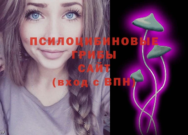 а пвп мука Верхний Тагил
