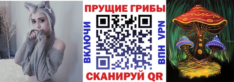 hydra зеркало  купить  сайты  сайты даркнета какой сайт  Галлюциногенные грибы GOLDEN TEACHER  Сольцы 