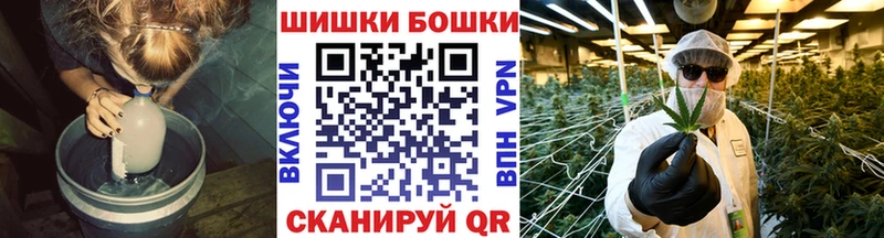 Бошки марихуана сатива  Сольцы 
